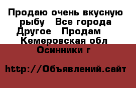 Продаю очень вкусную рыбу - Все города Другое » Продам   . Кемеровская обл.,Осинники г.